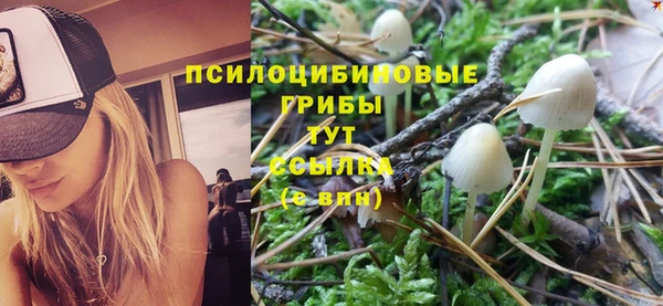 альфа пвп Верхний Тагил