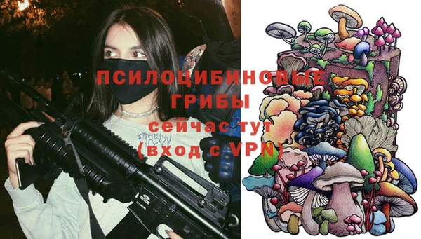 твердый Богородск